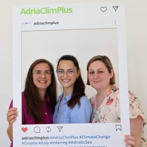ACplus-disem_5_original